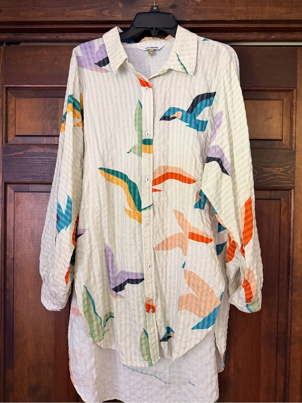 Anthropologie Celandine tunic button down shirt